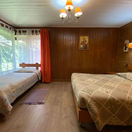 Hostal El Nogal Pucón المظهر الخارجي الصورة