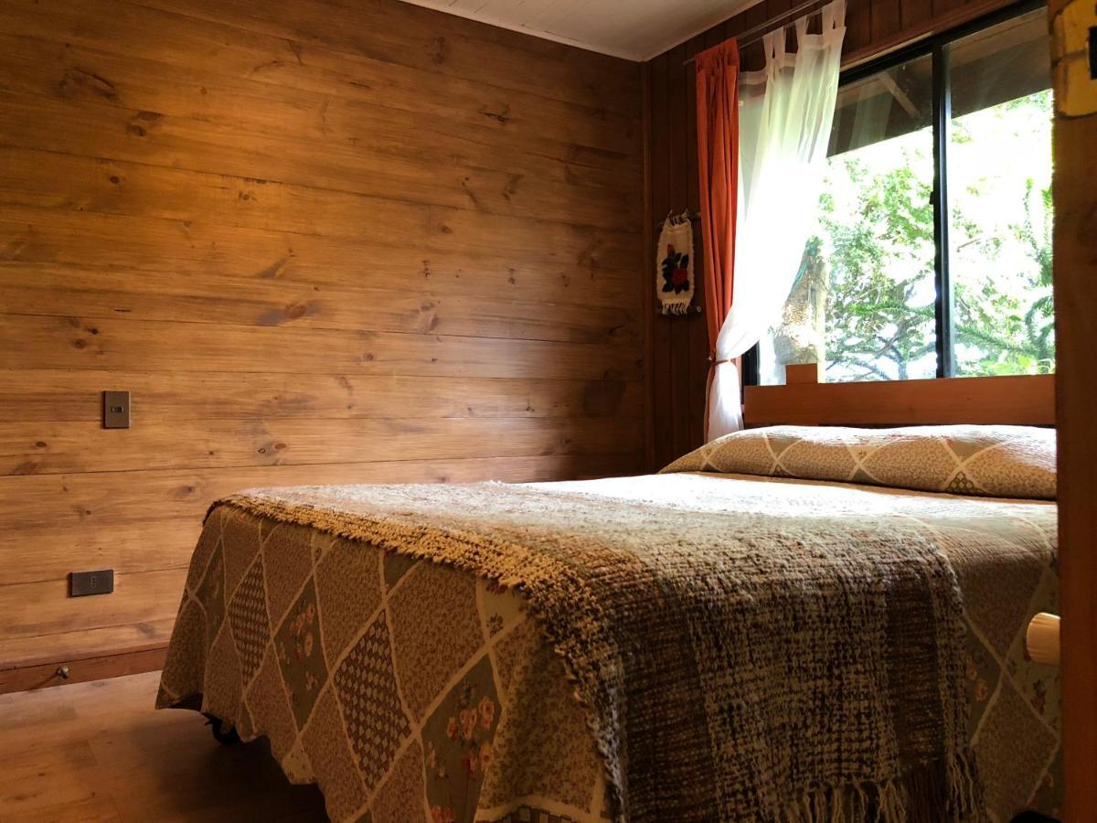 Hostal El Nogal Pucón المظهر الخارجي الصورة