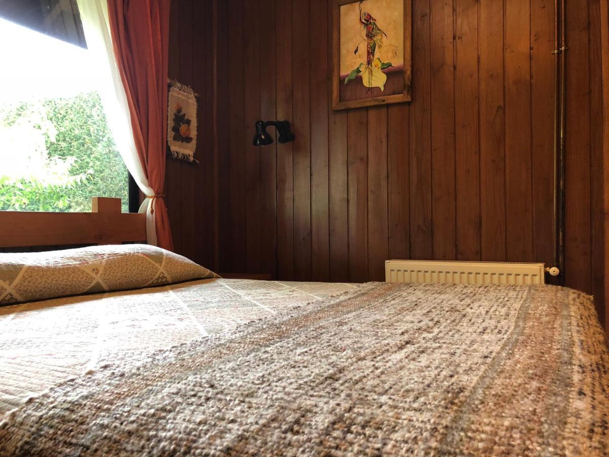 Hostal El Nogal Pucón المظهر الخارجي الصورة