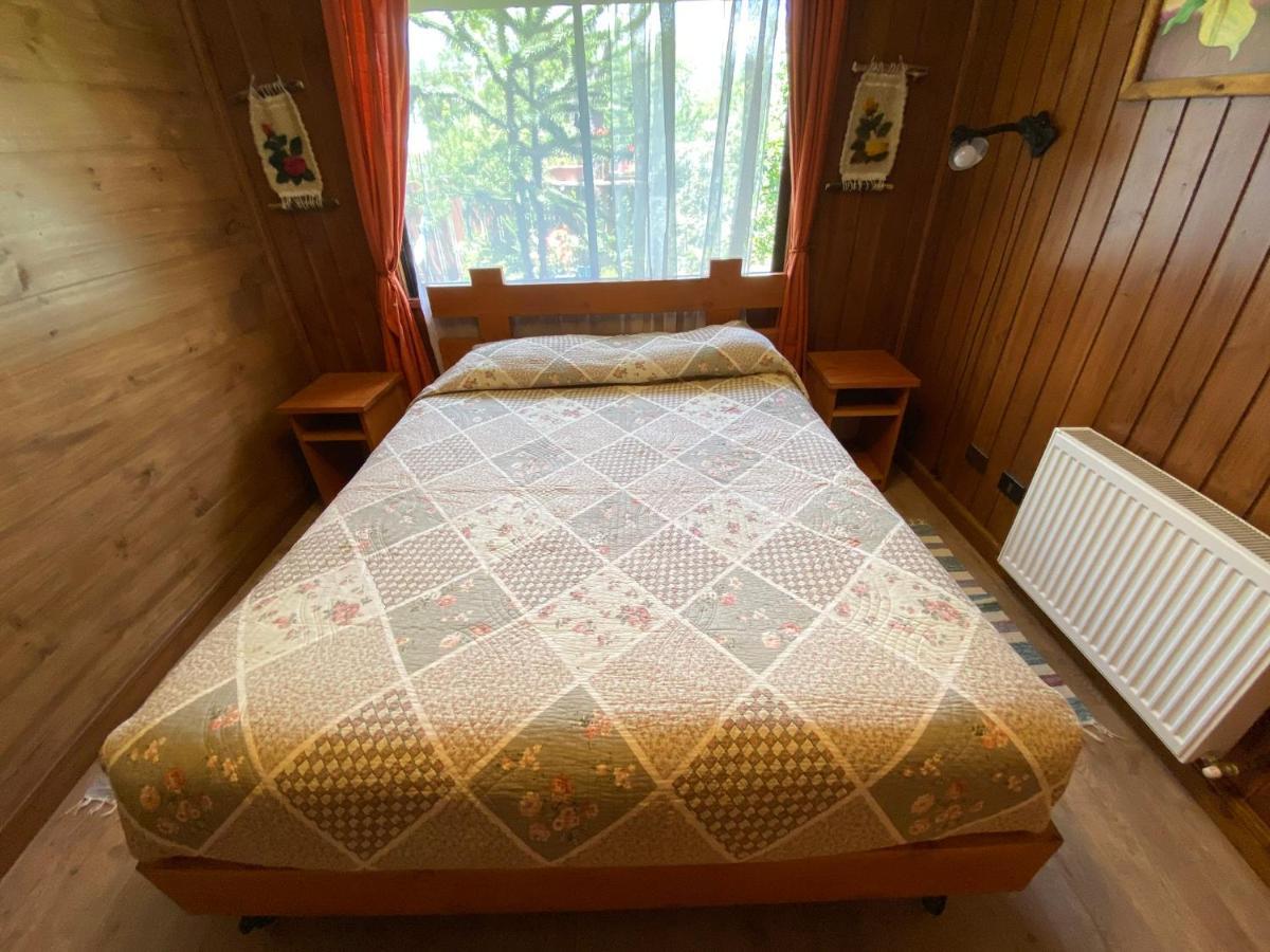 Hostal El Nogal Pucón المظهر الخارجي الصورة