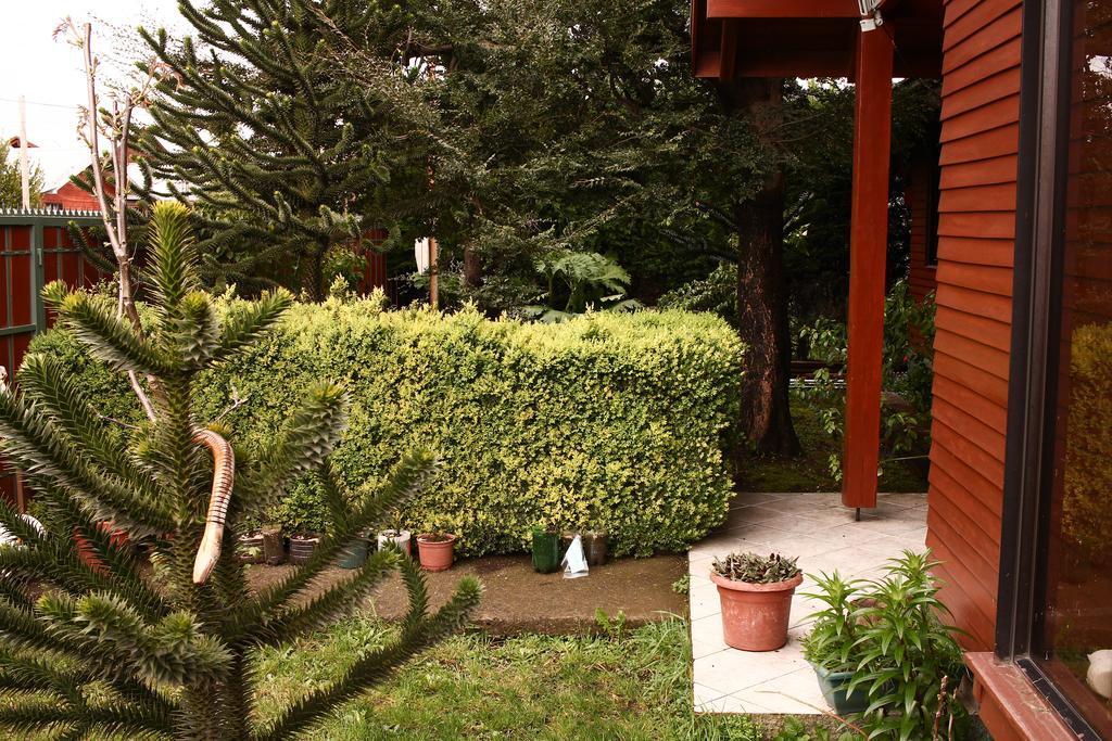 Hostal El Nogal Pucón المظهر الخارجي الصورة